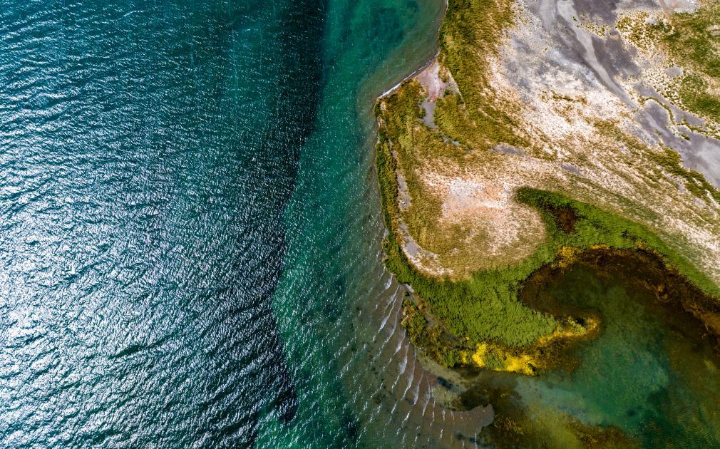搜狗浏览器